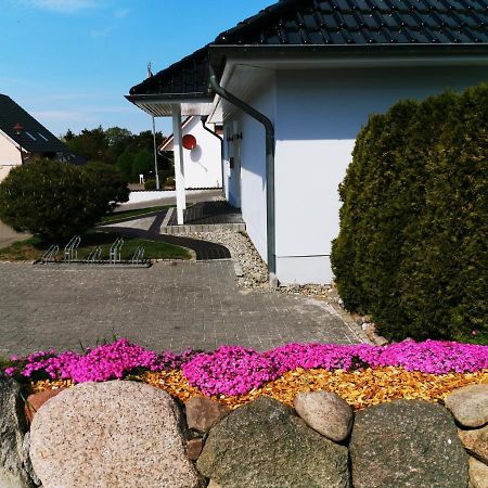 ゼーバート・ヘリングスドルフSun Houseアパートメント エクステリア 写真